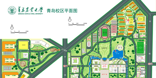 校园地图