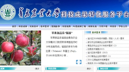 成果转化